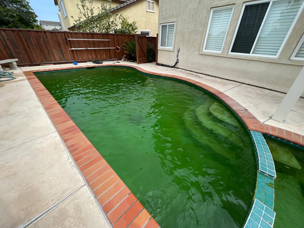 Green pool cleaning