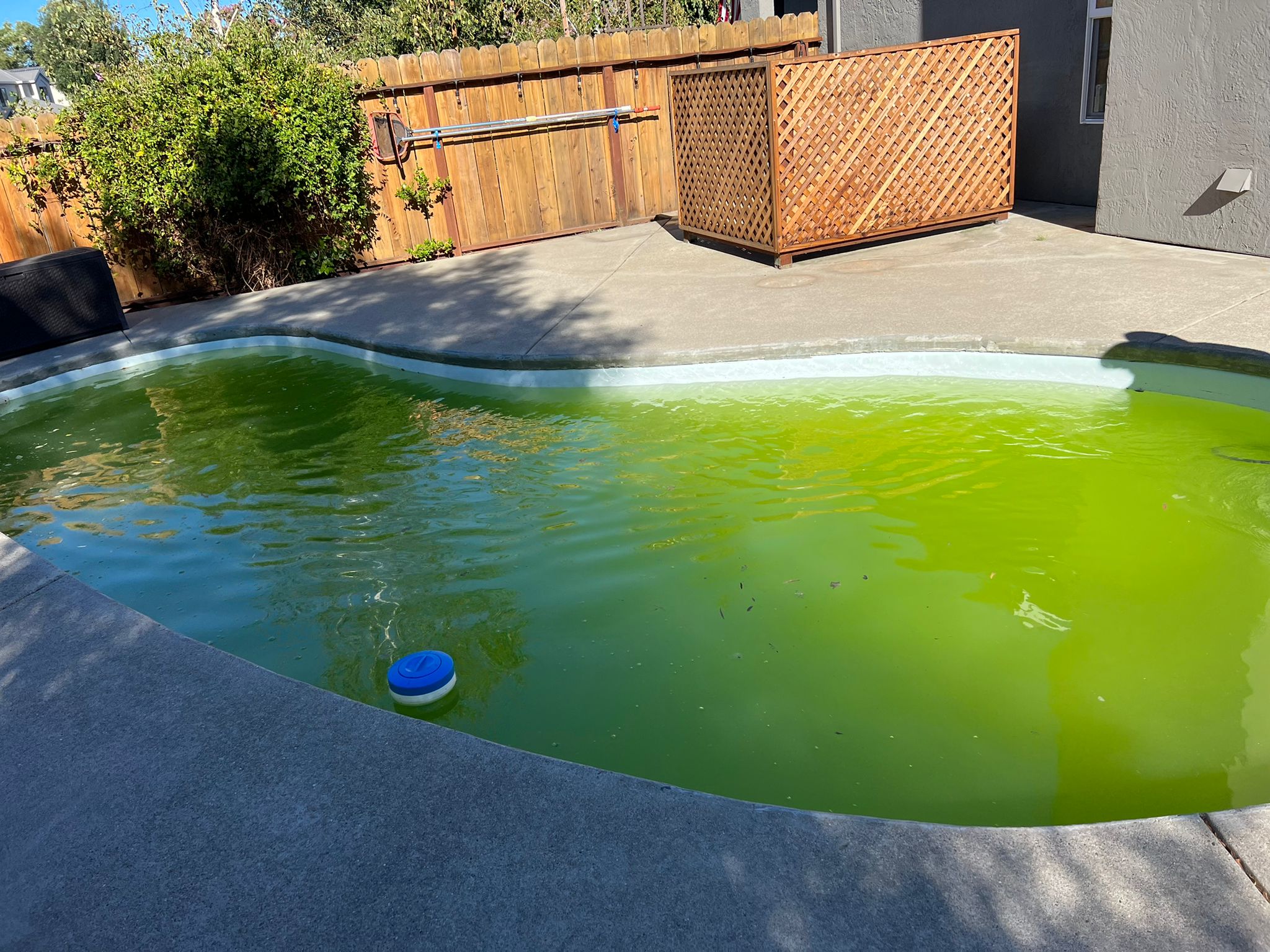 Green Pool